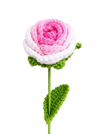 Ombré Rose Pink