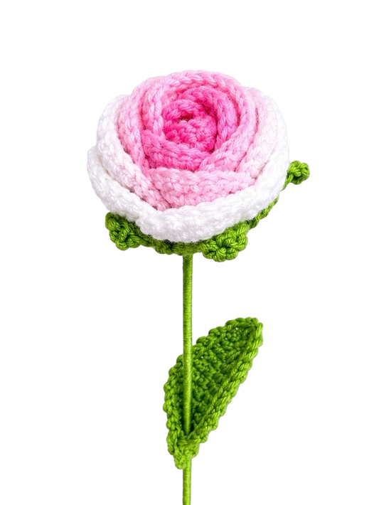 Ombré Rose Pink