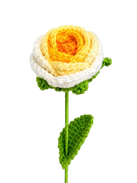 Ombré Rose Yellow