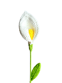 Calla