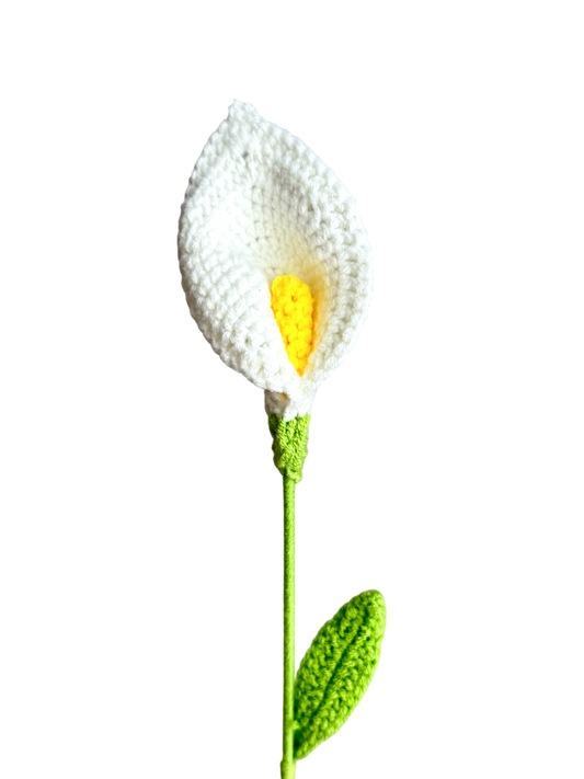 Calla