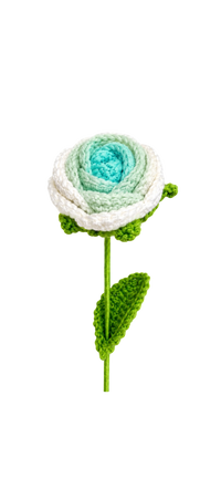 Ombré Rose Green