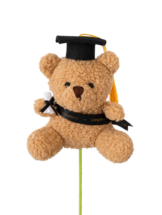 Graduation Teddy