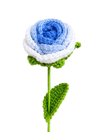 Ombré Rose Blue