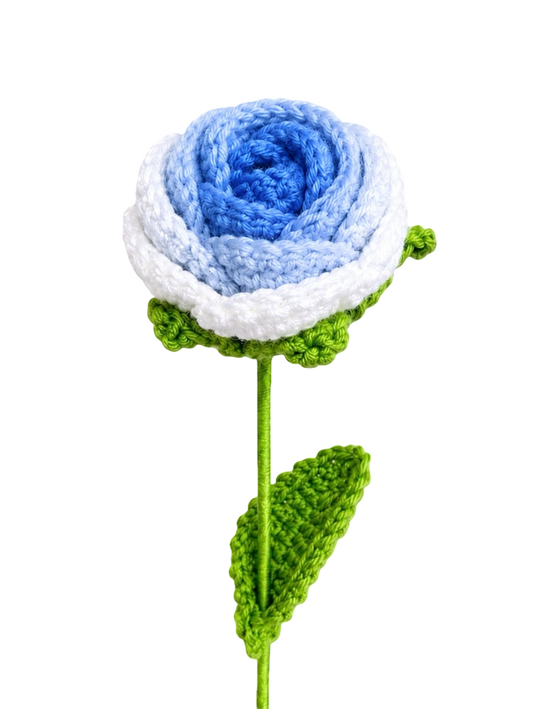 Ombré Rose Blue