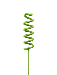 Πρασινάδα Twist